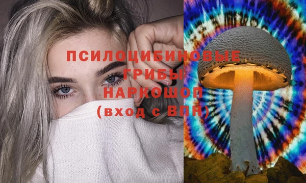 альфа пвп Бородино